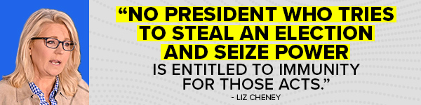 LIZ CHENEY: No President who tries to steal an election and seize power is entitled to immunity for those acts.